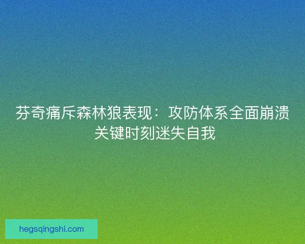 芬奇痛斥森林狼表现：攻防体系全面崩溃 关键时刻迷失自我