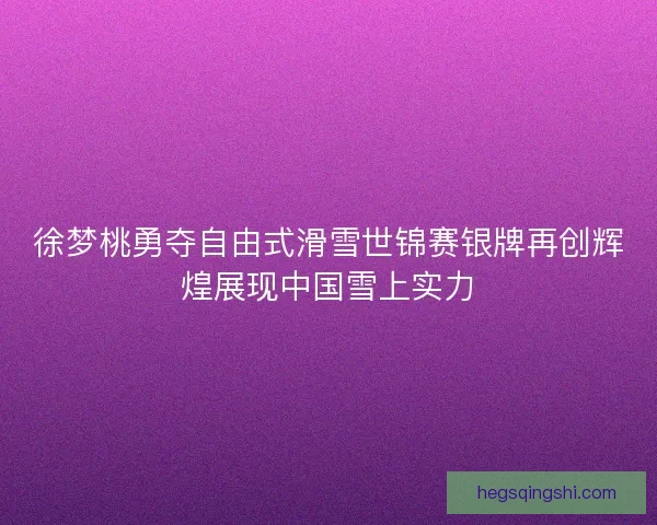徐梦桃勇夺自由式滑雪世锦赛银牌再创辉煌展现中国雪上实力